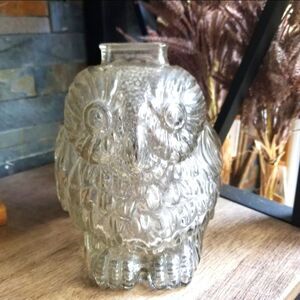 Wise Old Owl, Blown Glass Coin Bank By Anchor Hocking